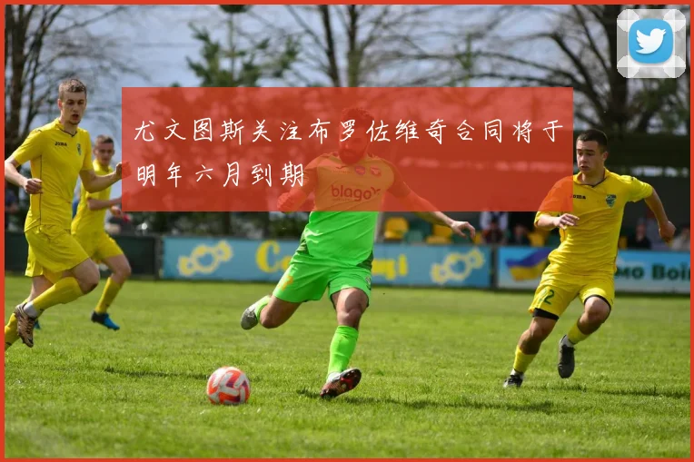 尤文图斯关注布罗佐维奇合同将于明年六月到期