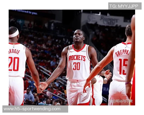 申京与亚当斯默契配合卡佩拉迅速融入双塔战术体系 申京与亚当斯默契配合卡佩拉迅速融入双塔战术体系